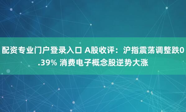 配资专业门户登录入口 A股收评：沪指震荡调整跌0.39% 消费电子概念股逆势大涨